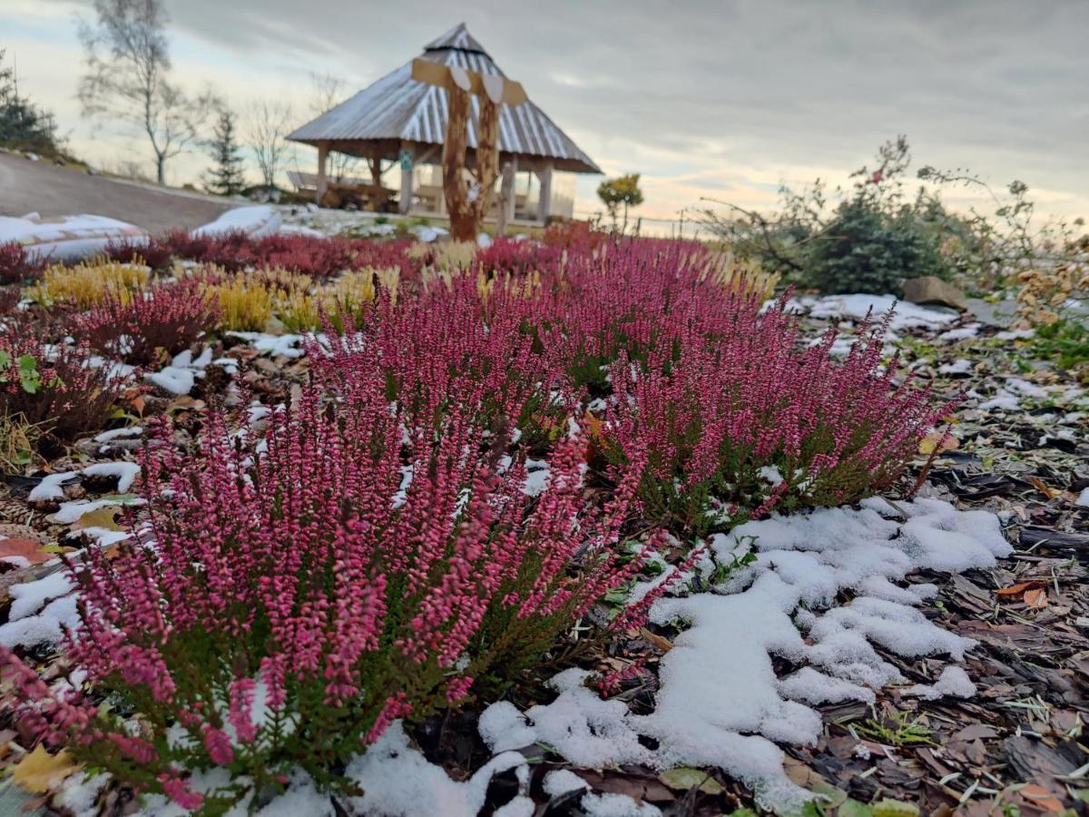 Wrzosowy Dwor - Spa Skomielna Czarna エクステリア 写真